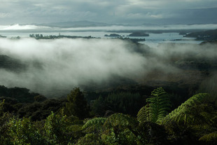 Photo: waitangi02