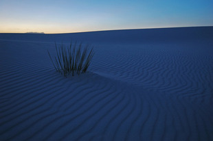 Photo: whiteSands02