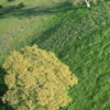 Thumbnail: arastradero01