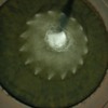 Thumbnail: balboapark07