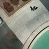 Thumbnail: legionofhonor03