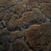 Thumbnail: Fire Veins