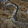 Thumbnail: Seahorse