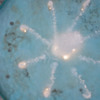Thumbnail: Soaking