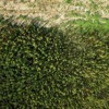 Thumbnail: redrocklake