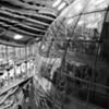 Thumbnail: Rainforest Bubble