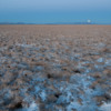 Thumbnail: Worm Moon