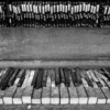 Thumbnail: Ivory Teeth