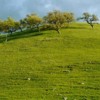 Thumbnail: hwy152