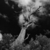 Thumbnail: Mt. Climie