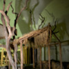 Thumbnail: Forgotten Exhibit