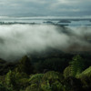 Thumbnail: waitangi02