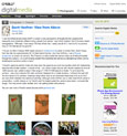 thumbnail image: al-viewfromabove.jpg